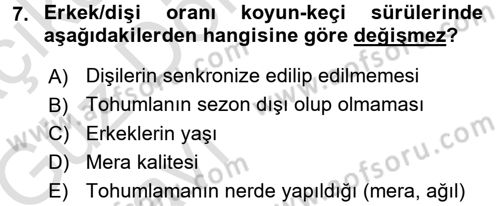 Temel Sürü Sağlığı Yönetimi Dersi 2017 - 2018 Yılı (Vize) Ara Sınav Soruları 7. Soru