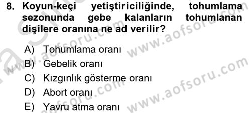 Temel Sürü Sağlığı Yönetimi Dersi Ara Sınavı Deneme Sınav Soruları 8. Soru