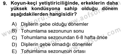 Temel Sürü Sağlığı Yönetimi Dersi 2017 - 2018 Yılı (Vize) Ara Sınav Soruları 9. Soru