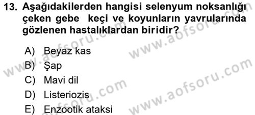 Temel Sürü Sağlığı Yönetimi Dersi 2017 - 2018 Yılı (Final) Dönem Sonu Sınavı 13. Soru