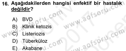 Temel Sürü Sağlığı Yönetimi Dersi 2017 - 2018 Yılı (Final) Dönem Sonu Sınavı 16. Soru