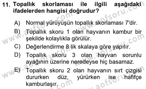 Temel Sürü Sağlığı Yönetimi Dersi 2018 - 2019 Yılı (Vize) Ara Sınavı 11. Soru