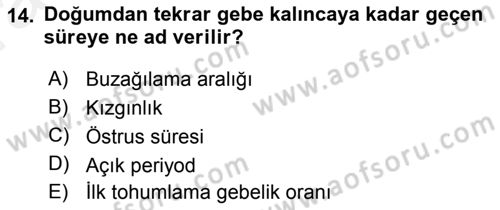 Temel Sürü Sağlığı Yönetimi Dersi 2018 - 2019 Yılı (Vize) Ara Sınavı 14. Soru