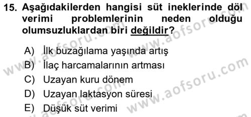 Temel Sürü Sağlığı Yönetimi Dersi 2018 - 2019 Yılı (Vize) Ara Sınavı 15. Soru