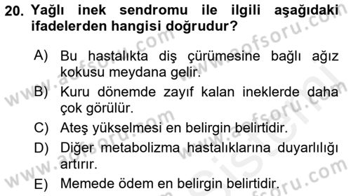 Temel Sürü Sağlığı Yönetimi Dersi Ara Sınavı Deneme Sınav Soruları 20. Soru