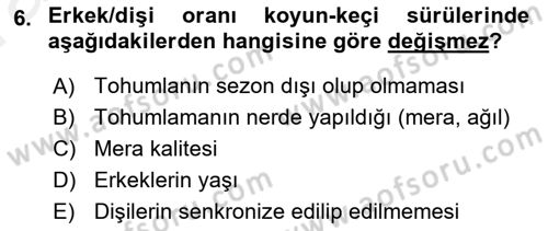 Temel Sürü Sağlığı Yönetimi Dersi 2018 - 2019 Yılı (Vize) Ara Sınavı 6. Soru