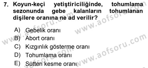 Temel Sürü Sağlığı Yönetimi Dersi 2018 - 2019 Yılı (Vize) Ara Sınavı 7. Soru