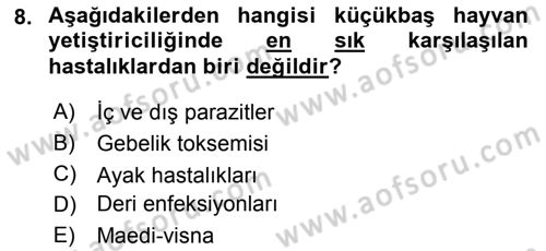 Temel Sürü Sağlığı Yönetimi Dersi 2018 - 2019 Yılı (Vize) Ara Sınavı 8. Soru