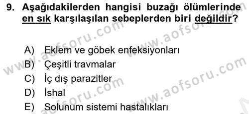 Temel Sürü Sağlığı Yönetimi Dersi 2018 - 2019 Yılı (Vize) Ara Sınavı 9. Soru