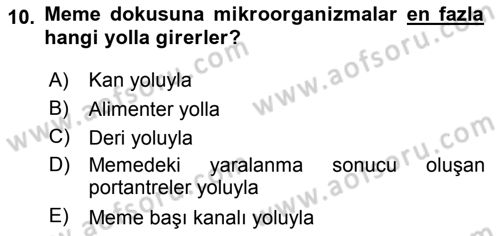Temel Sürü Sağlığı Yönetimi Dersi 2018 - 2019 Yılı (Final) Dönem Sonu Sınav Soruları 10. Soru