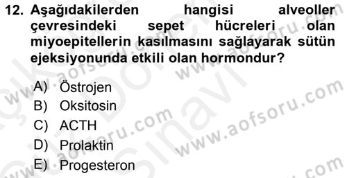 Temel Sürü Sağlığı Yönetimi Dersi 2018 - 2019 Yılı (Final) Dönem Sonu Sınav Soruları 12. Soru