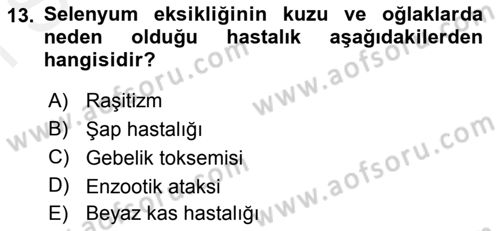 Temel Sürü Sağlığı Yönetimi Dersi 2018 - 2019 Yılı (Final) Dönem Sonu Sınav Soruları 13. Soru