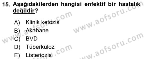 Temel Sürü Sağlığı Yönetimi Dersi 2018 - 2019 Yılı (Final) Dönem Sonu Sınav Soruları 15. Soru