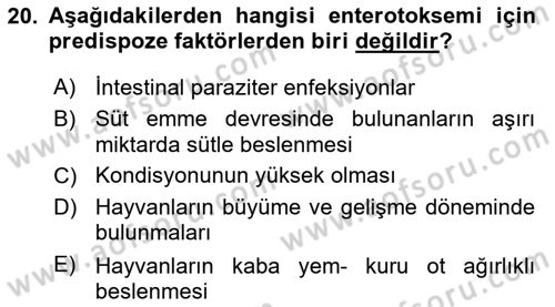 Temel Sürü Sağlığı Yönetimi Dersi 2018 - 2019 Yılı (Final) Dönem Sonu Sınav Soruları 20. Soru
