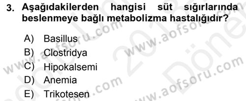 Temel Sürü Sağlığı Yönetimi Dersi 2018 - 2019 Yılı (Final) Dönem Sonu Sınav Soruları 3. Soru
