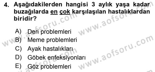 Temel Sürü Sağlığı Yönetimi Dersi 2018 - 2019 Yılı (Final) Dönem Sonu Sınav Soruları 4. Soru