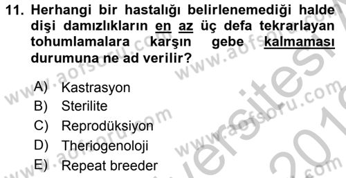 Temel Sürü Sağlığı Yönetimi Dersi 2018 - 2019 Yılı Yaz Okulu Sınavı 11. Soru