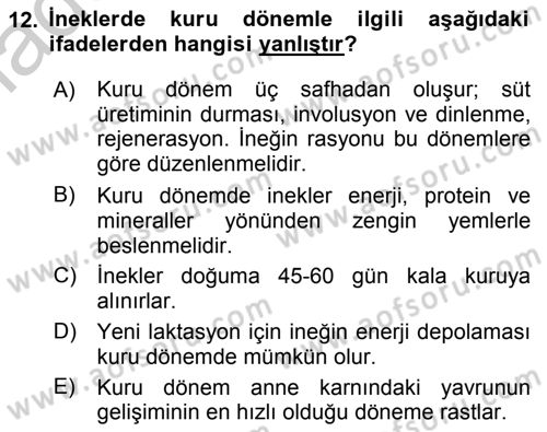 Temel Sürü Sağlığı Yönetimi Dersi 2018 - 2019 Yılı Yaz Okulu Sınav Soruları 12. Soru