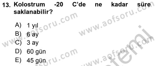 Temel Sürü Sağlığı Yönetimi Dersi 2018 - 2019 Yılı Yaz Okulu Sınav Soruları 13. Soru