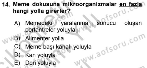 Temel Sürü Sağlığı Yönetimi Dersi 2018 - 2019 Yılı Yaz Okulu Sınav Soruları 14. Soru