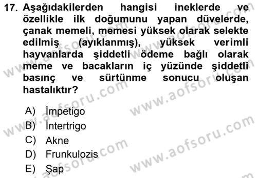 Temel Sürü Sağlığı Yönetimi Dersi 2018 - 2019 Yılı Yaz Okulu Sınav Soruları 17. Soru