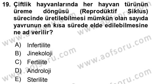 Temel Sürü Sağlığı Yönetimi Dersi 2018 - 2019 Yılı Yaz Okulu Sınavı 19. Soru