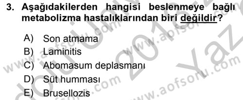 Temel Sürü Sağlığı Yönetimi Dersi 2018 - 2019 Yılı Yaz Okulu Sınav Soruları 3. Soru