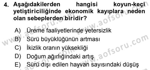 Temel Sürü Sağlığı Yönetimi Dersi 2018 - 2019 Yılı Yaz Okulu Sınavı 4. Soru