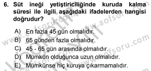 Temel Sürü Sağlığı Yönetimi Dersi 2018 - 2019 Yılı Yaz Okulu Sınav Soruları 6. Soru