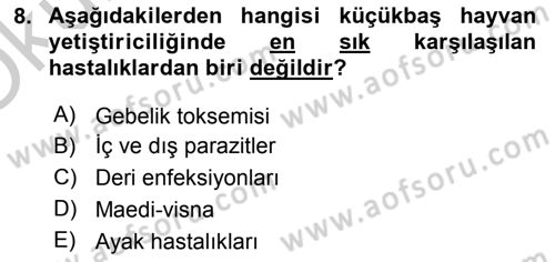 Temel Sürü Sağlığı Yönetimi Dersi 2018 - 2019 Yılı Yaz Okulu Sınav Soruları 8. Soru