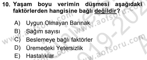 Temel Sürü Sağlığı Yönetimi Dersi Ara Sınavı Deneme Sınav Soruları 10. Soru