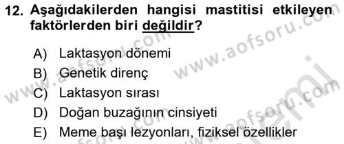 Temel Sürü Sağlığı Yönetimi Dersi Ara Sınavı Deneme Sınav Soruları 12. Soru