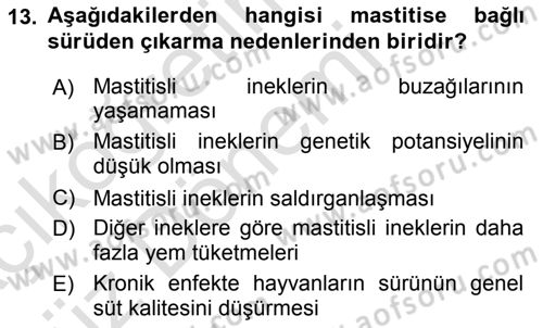 Temel Sürü Sağlığı Yönetimi Dersi Ara Sınavı Deneme Sınav Soruları 13. Soru