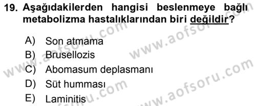 Temel Sürü Sağlığı Yönetimi Dersi 2019 - 2020 Yılı (Vize) Ara Sınav Soruları 19. Soru