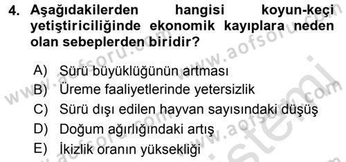Temel Sürü Sağlığı Yönetimi Dersi Ara Sınavı Deneme Sınav Soruları 4. Soru