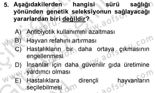 Temel Sürü Sağlığı Yönetimi Dersi Ara Sınavı Deneme Sınav Soruları 5. Soru