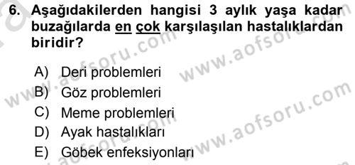 Temel Sürü Sağlığı Yönetimi Dersi Ara Sınavı Deneme Sınav Soruları 6. Soru