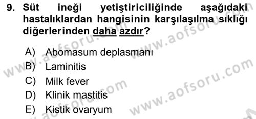 Temel Sürü Sağlığı Yönetimi Dersi Ara Sınavı Deneme Sınav Soruları 9. Soru