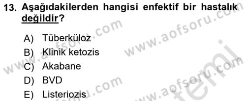 Temel Sürü Sağlığı Yönetimi Dersi 2019 - 2020 Yılı (Final) Dönem Sonu Sınav Soruları 13. Soru