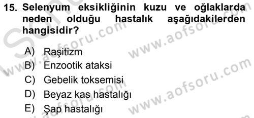 Temel Sürü Sağlığı Yönetimi Dersi 2019 - 2020 Yılı (Final) Dönem Sonu Sınavı 15. Soru