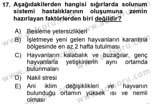 Temel Sürü Sağlığı Yönetimi Dersi 2019 - 2020 Yılı (Final) Dönem Sonu Sınav Soruları 17. Soru