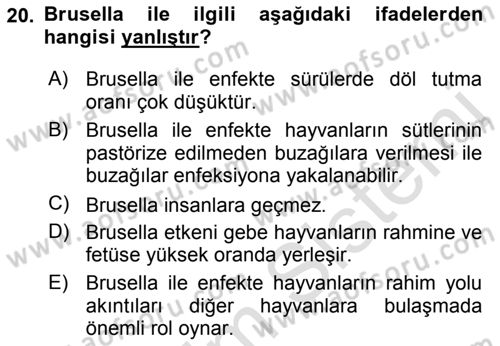 Temel Sürü Sağlığı Yönetimi Dersi 2019 - 2020 Yılı (Final) Dönem Sonu Sınavı 20. Soru