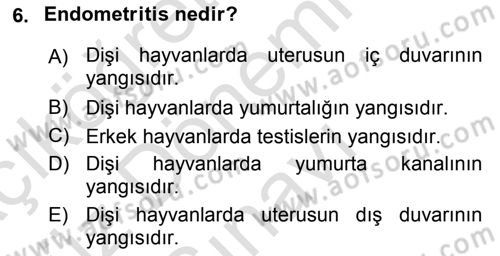 Temel Sürü Sağlığı Yönetimi Dersi 2019 - 2020 Yılı (Final) Dönem Sonu Sınavı 6. Soru