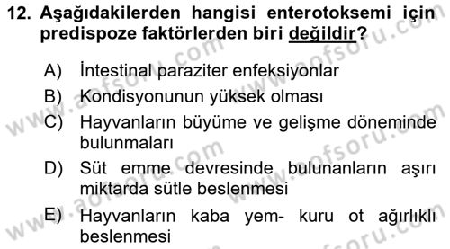 Temel Sürü Sağlığı Yönetimi Dersi 2020 - 2021 Yılı Yaz Okulu Sınav Soruları 12. Soru