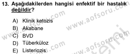 Temel Sürü Sağlığı Yönetimi Dersi 2020 - 2021 Yılı Yaz Okulu Sınav Soruları 13. Soru