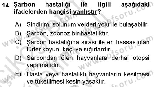 Temel Sürü Sağlığı Yönetimi Dersi 2020 - 2021 Yılı Yaz Okulu Sınav Soruları 14. Soru