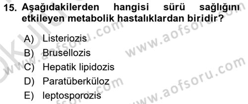 Temel Sürü Sağlığı Yönetimi Dersi 2020 - 2021 Yılı Yaz Okulu Sınav Soruları 15. Soru