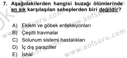 Temel Sürü Sağlığı Yönetimi Dersi 2020 - 2021 Yılı Yaz Okulu Sınav Soruları 7. Soru