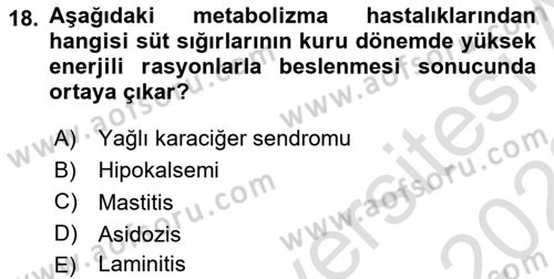 Temel Sürü Sağlığı Yönetimi Dersi 2021 - 2022 Yılı (Vize) Ara Sınavı 18. Soru