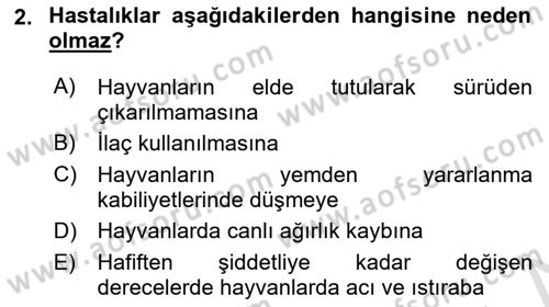 Temel Sürü Sağlığı Yönetimi Dersi 2021 - 2022 Yılı (Vize) Ara Sınavı 2. Soru